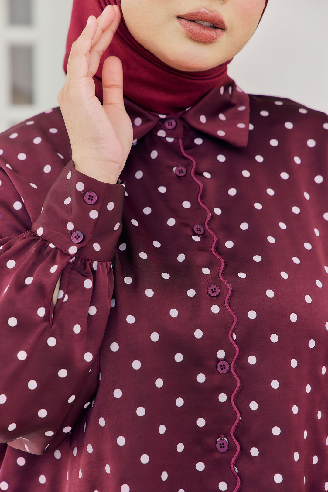 Alani Plus Embroidery Polka Dot Blouse